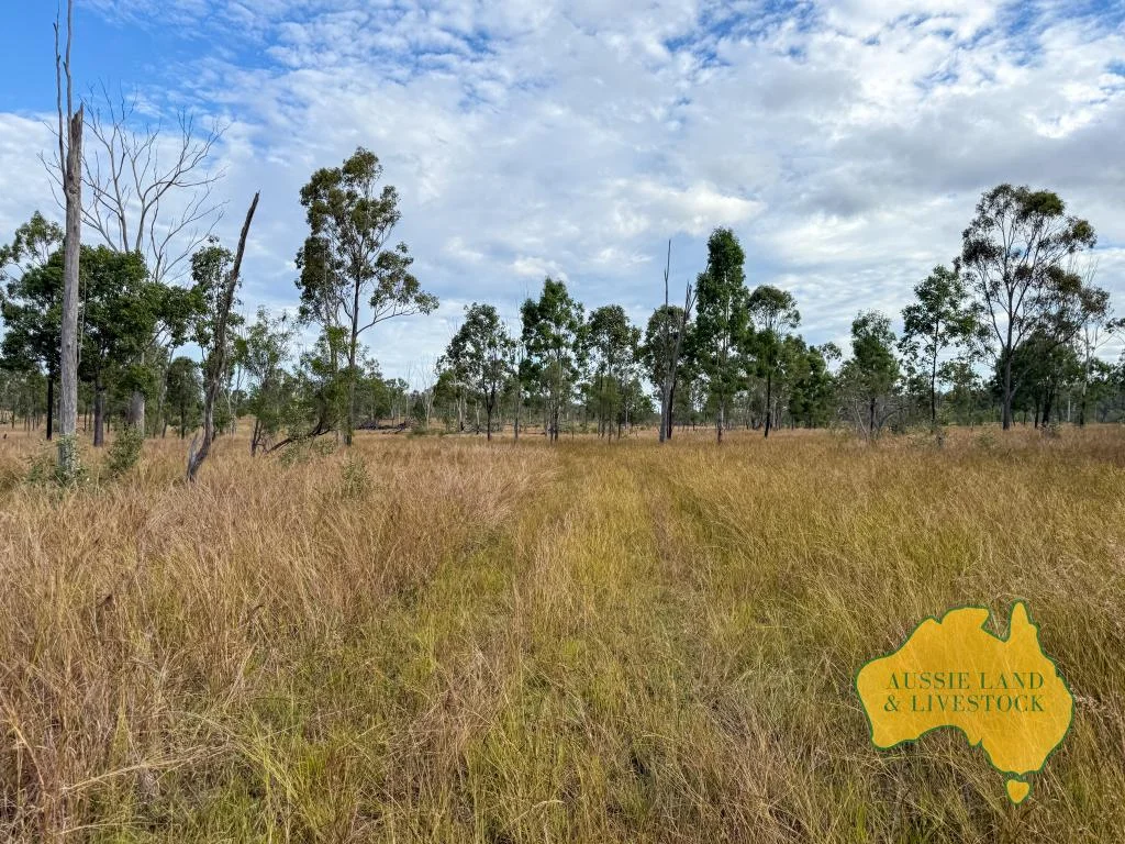 Additional image 43 of 8 SCREENING PLANT ROAD, Cynthia QLD 4627