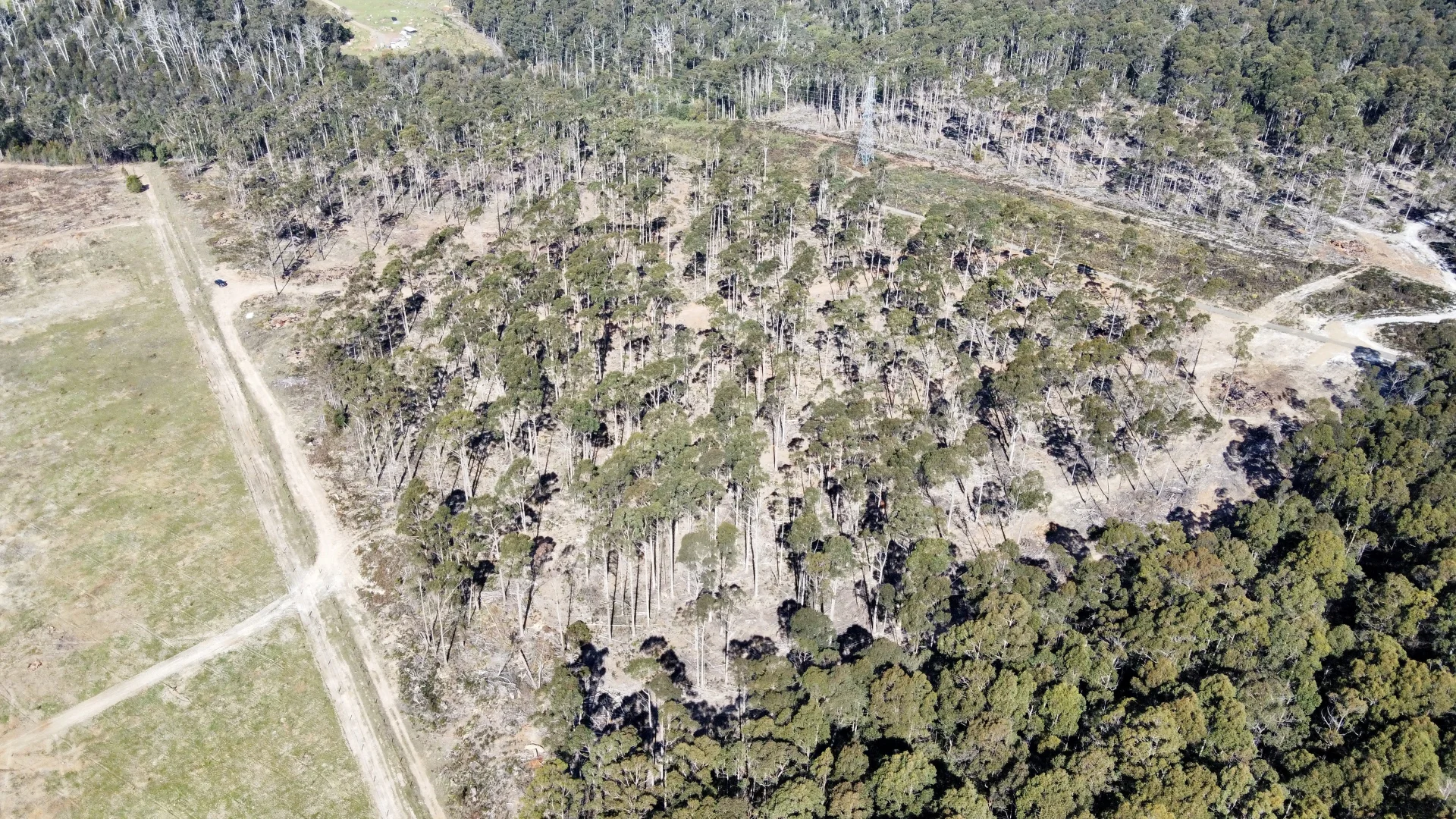 Additional image 4 of 2/275 Smith And Others Road, Sassafras TAS 7307