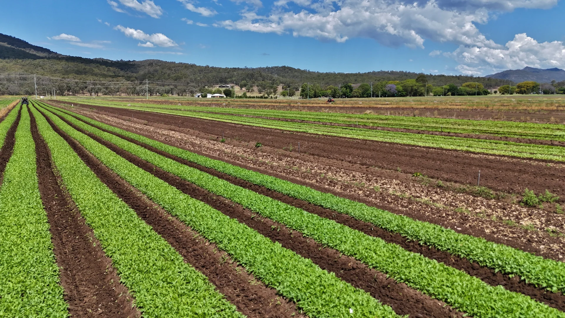 Additional image 24 of Mulgowie QLD 4341