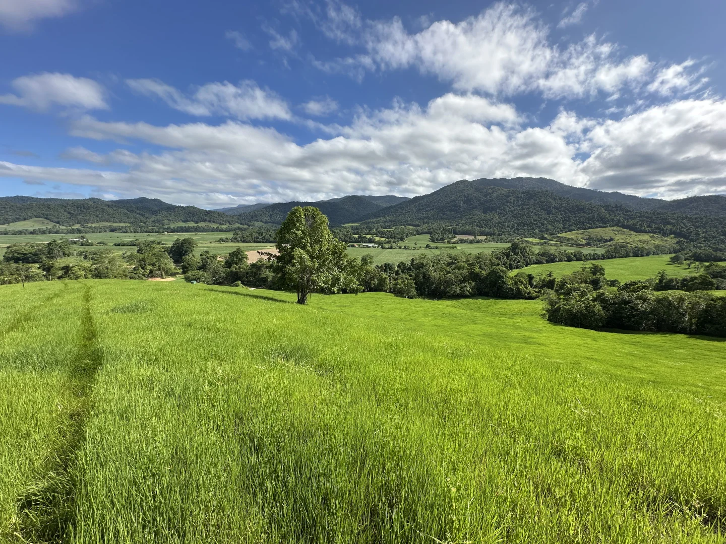 Additional image 26 of Japoonvale QLD 4856