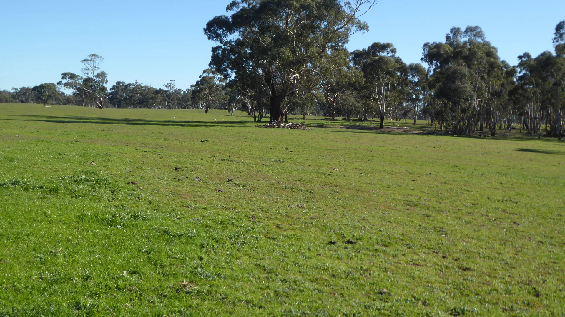 Additional image 22 of 2147 Bangham Road, Frances SA 5262