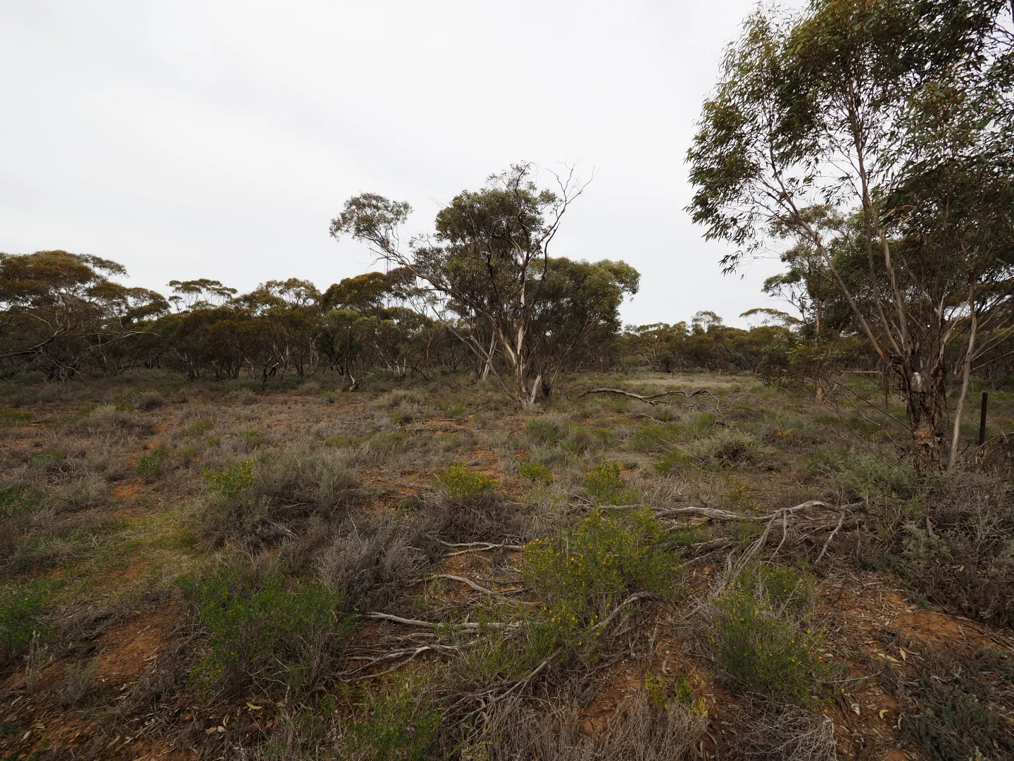 Additional image 12 of Lots 1-6, Towns Street, Chillingollah VIC 3585