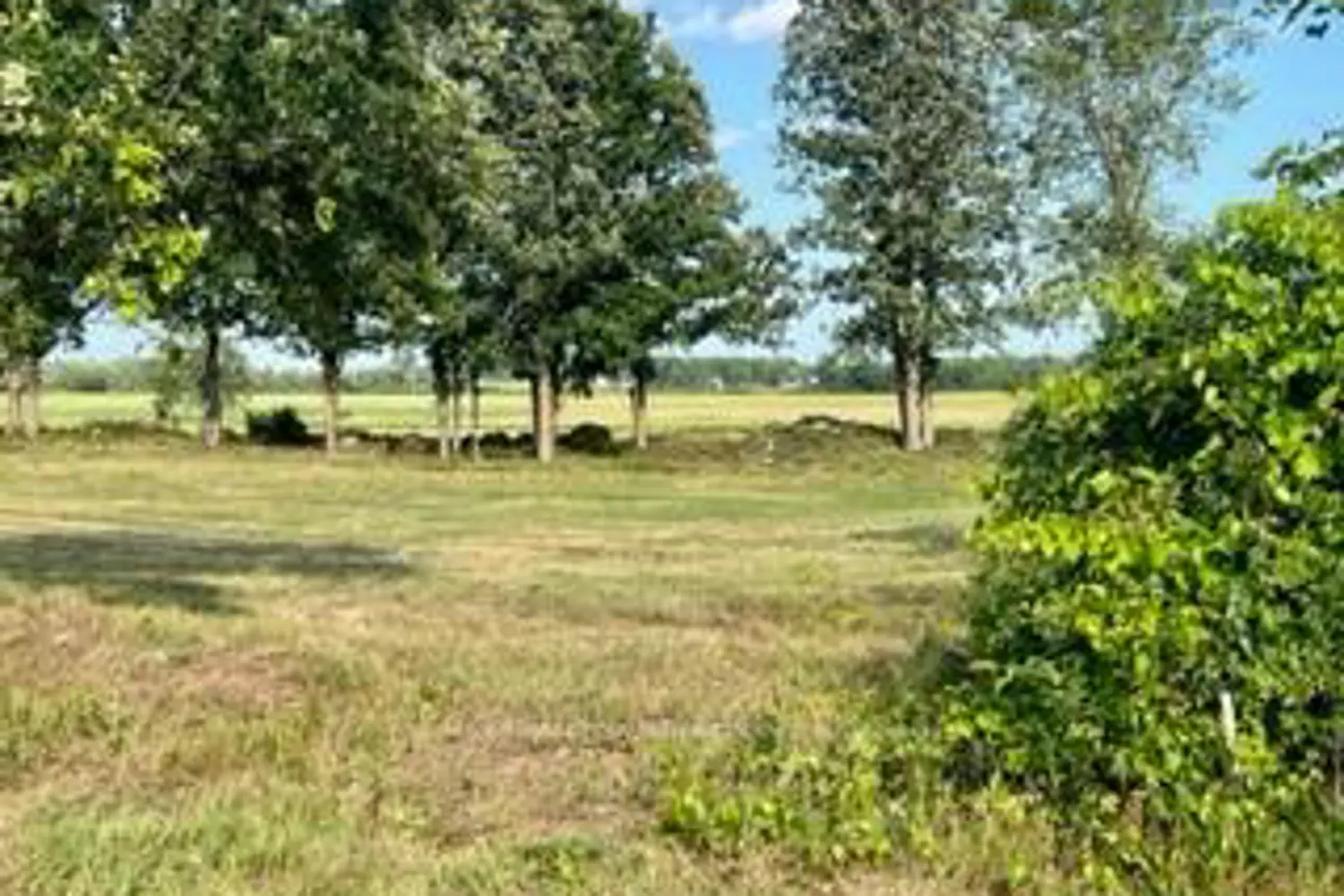 Additional image 8 of 0 Kitley Line 8 Road