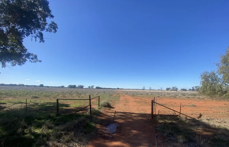 382 Jones Lane, Condobolin NSW 2877