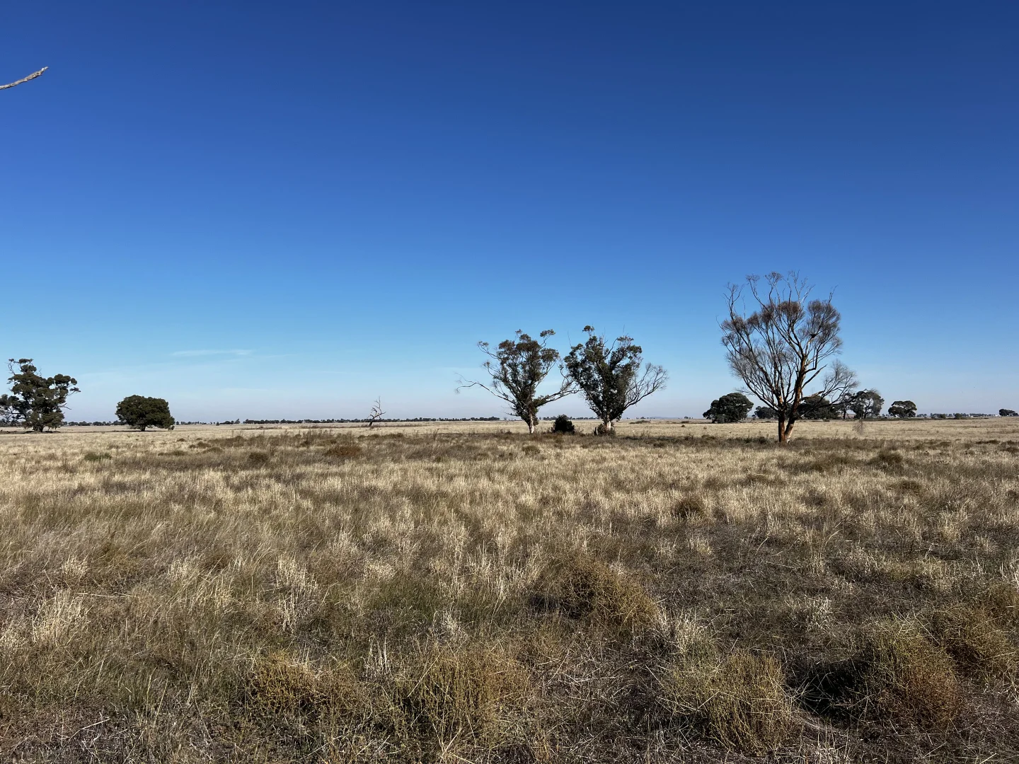 Additional image 5 of CA 8 Murray Valley Highway, Torrumbarry VIC 3562