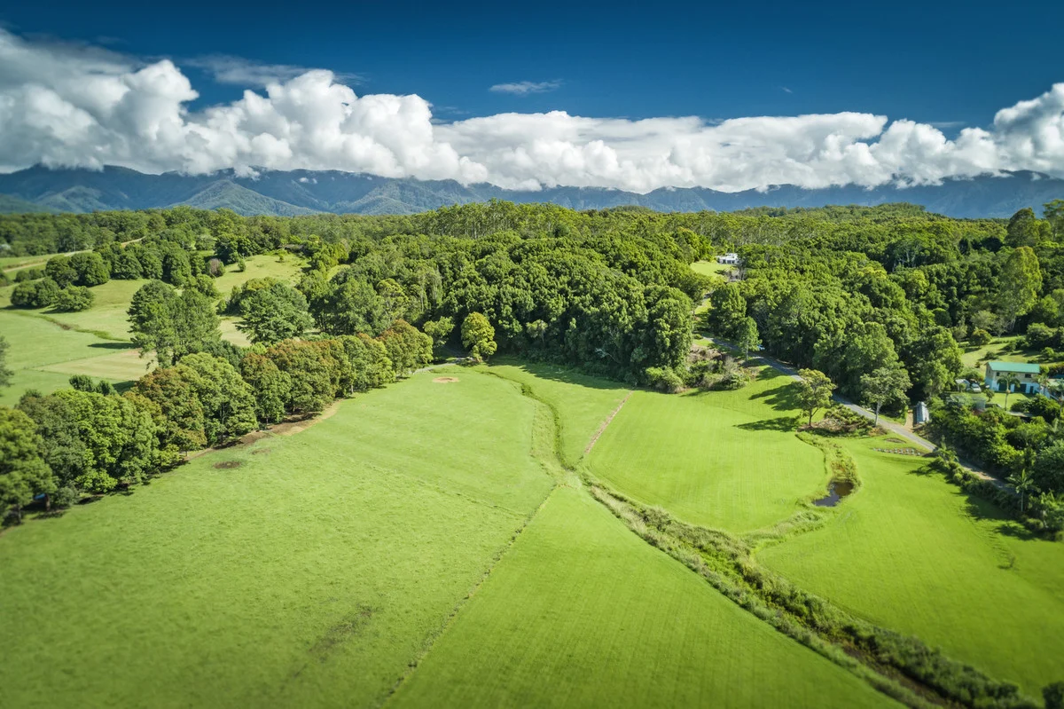 Additional image 23 of 88 Gleniffer Road, Bellingen NSW 2454