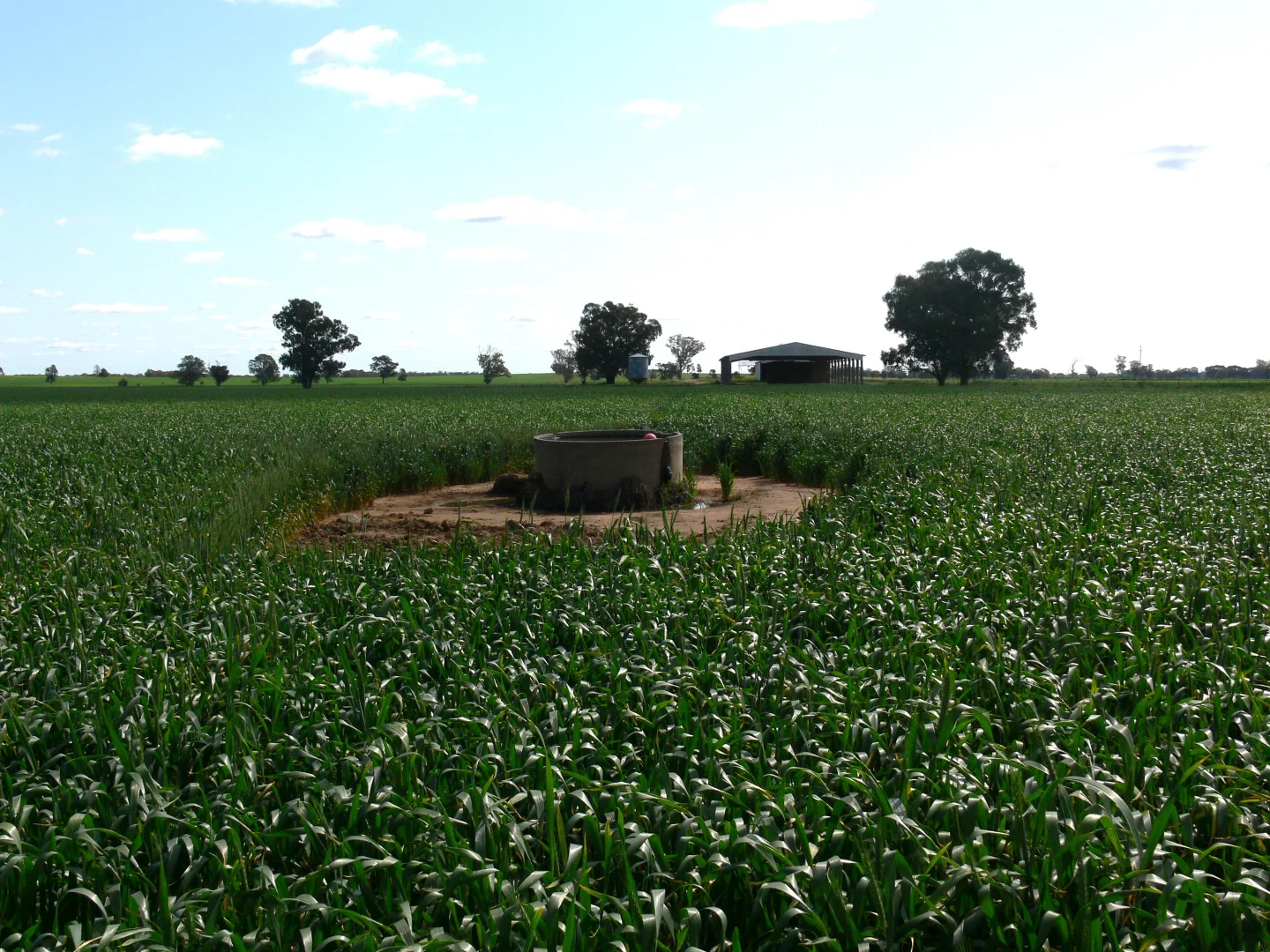 Additional image 3 of 69 Ercildoune Lane South, Forbes NSW 2871