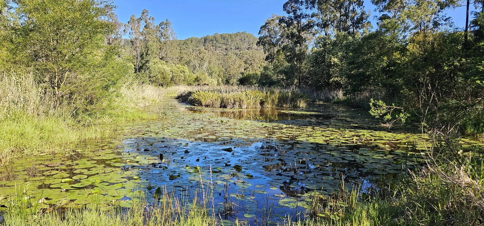 Additional image 4 of 2400 Busbys Flat Road, Busbys Flat NSW 2469