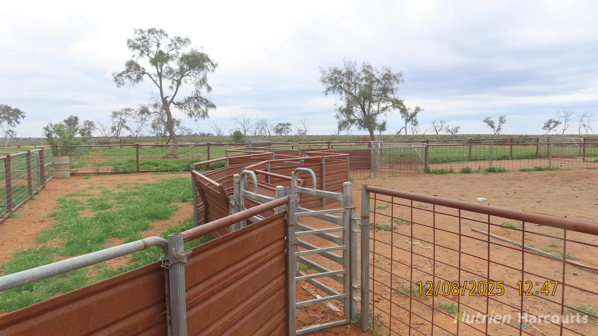 Additional image 21 of * Magenta Aggregation, Balranald NSW 2715