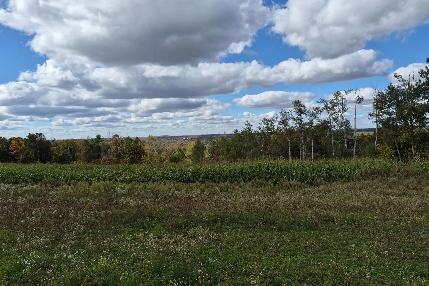 Pl 15 Base Line photo 3