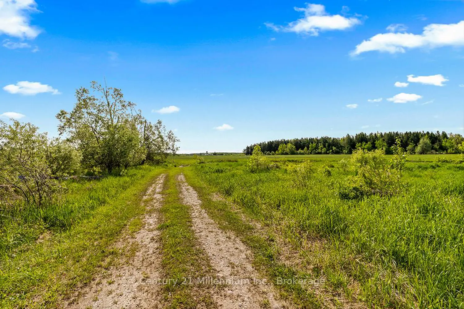 Additional image 11 of 375533 6Th Line