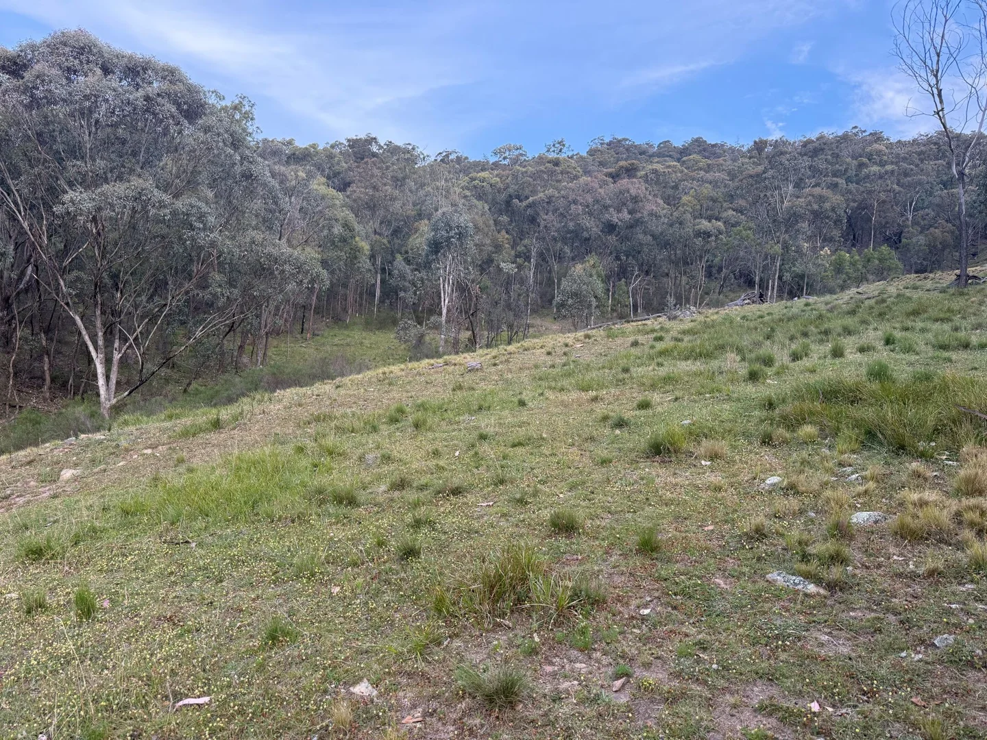 Additional image 9 of 1883 Queens Pinch Road, Mudgee NSW 2850