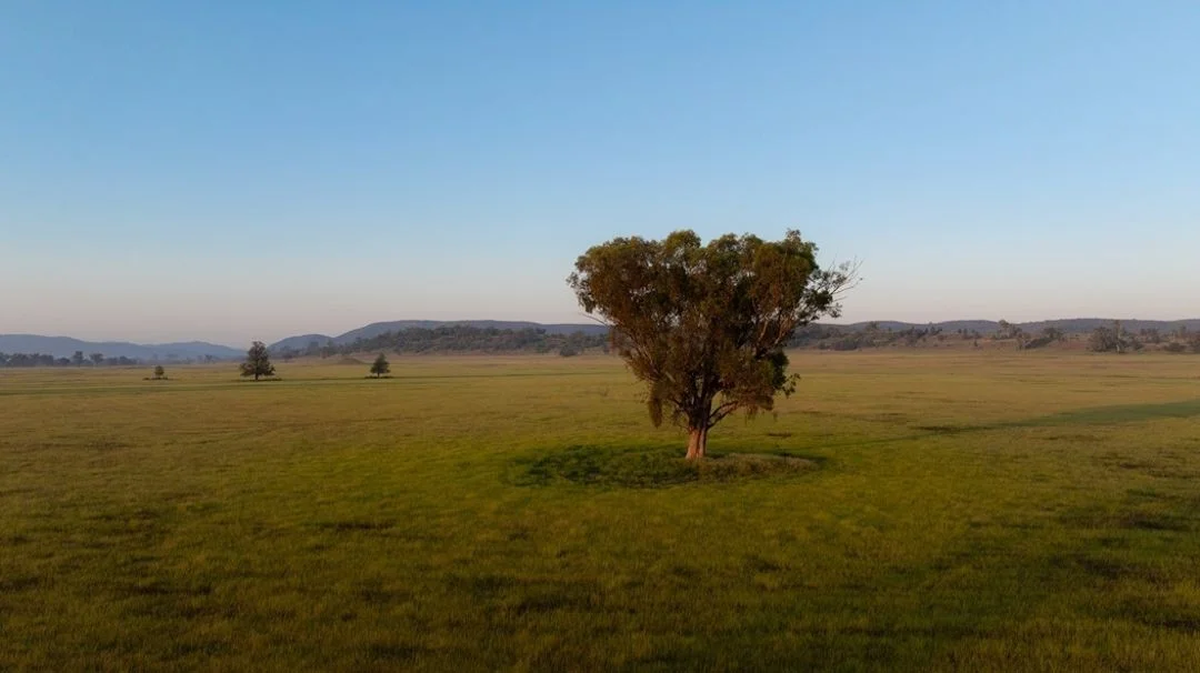 Additional image 10 of Garrambeel, Bingara NSW 2404