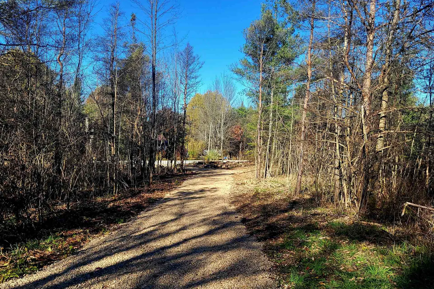 Additional image 6 of 395421 Concession 2 Road