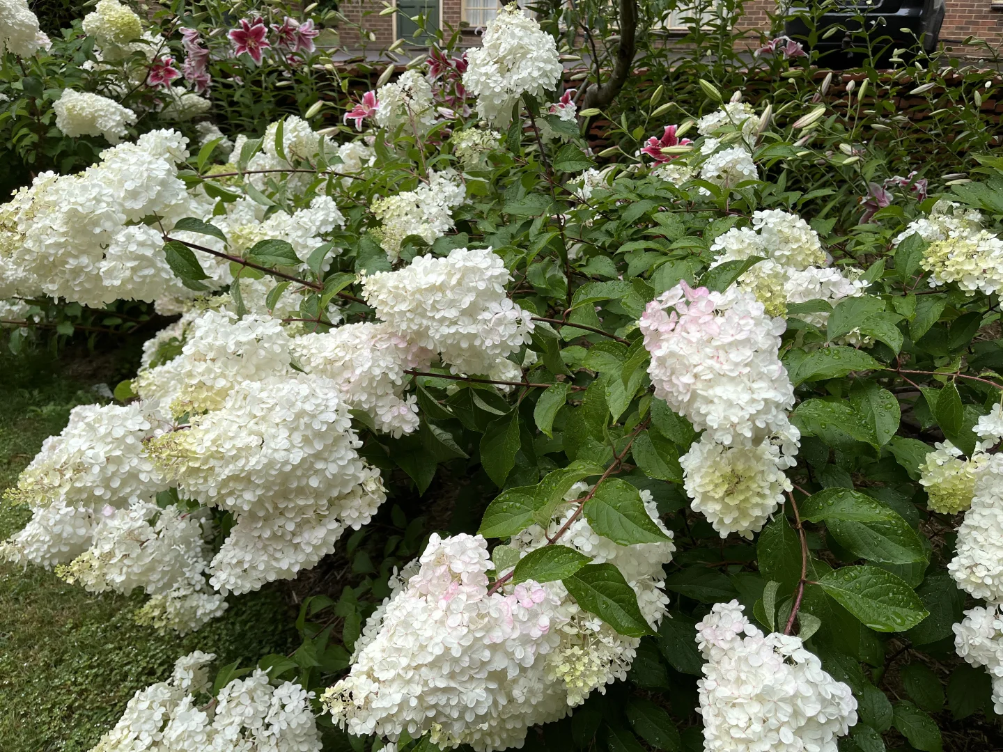 Additional image 27 of 805 Mount Macedon Road, Mount Macedon VIC 3441