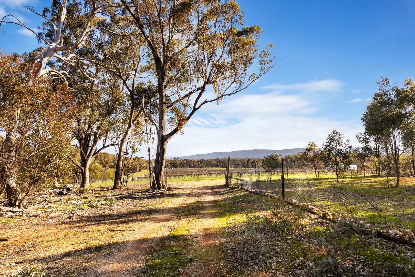 Additional image 17 of 20 Morris Lane, Avoca VIC 3467