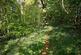 Additional image 23 of Llanfyllin, Powys, SY22