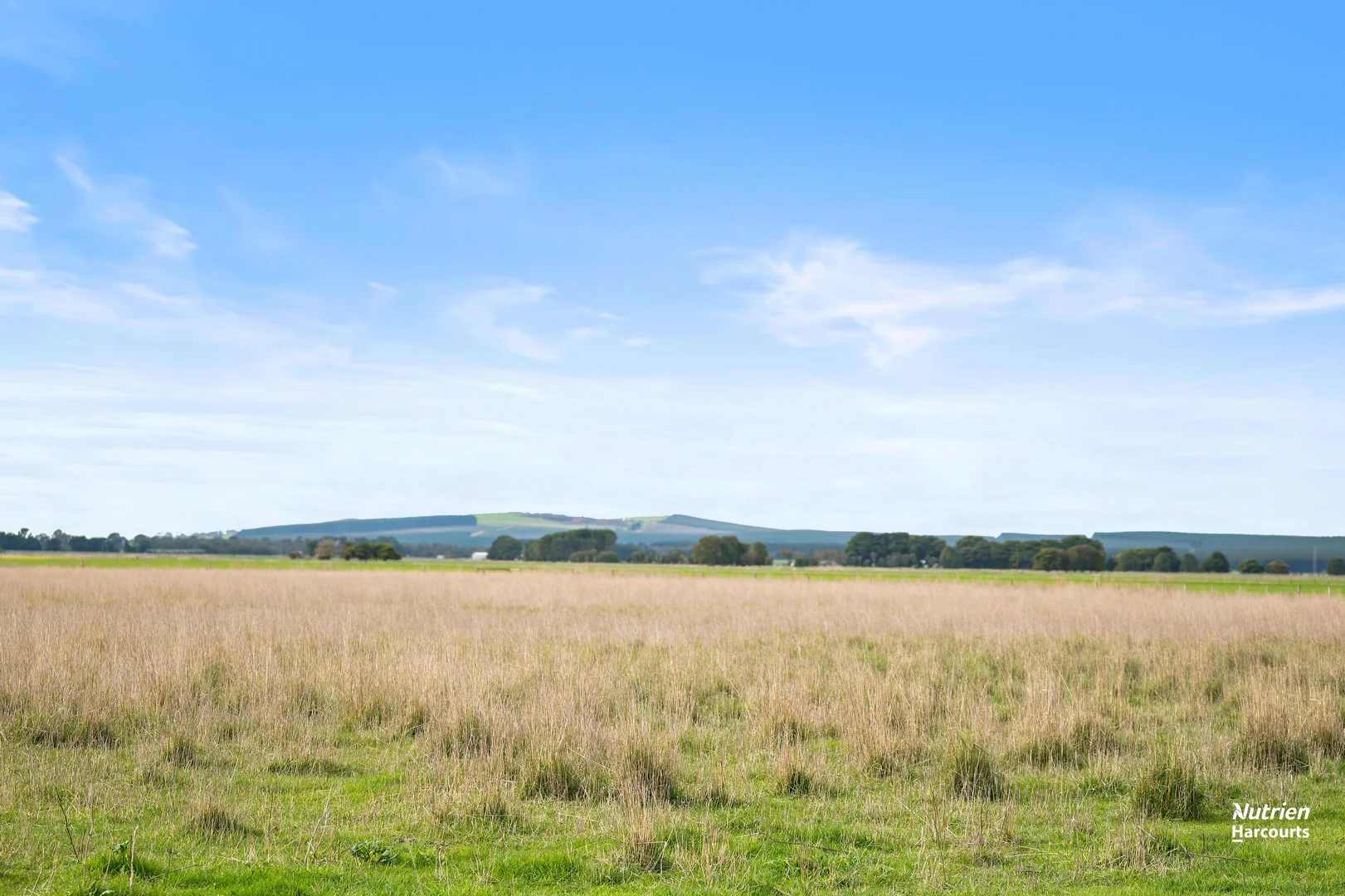 Additional image 9 of 29255 Princes Highway, Millicent SA 5280