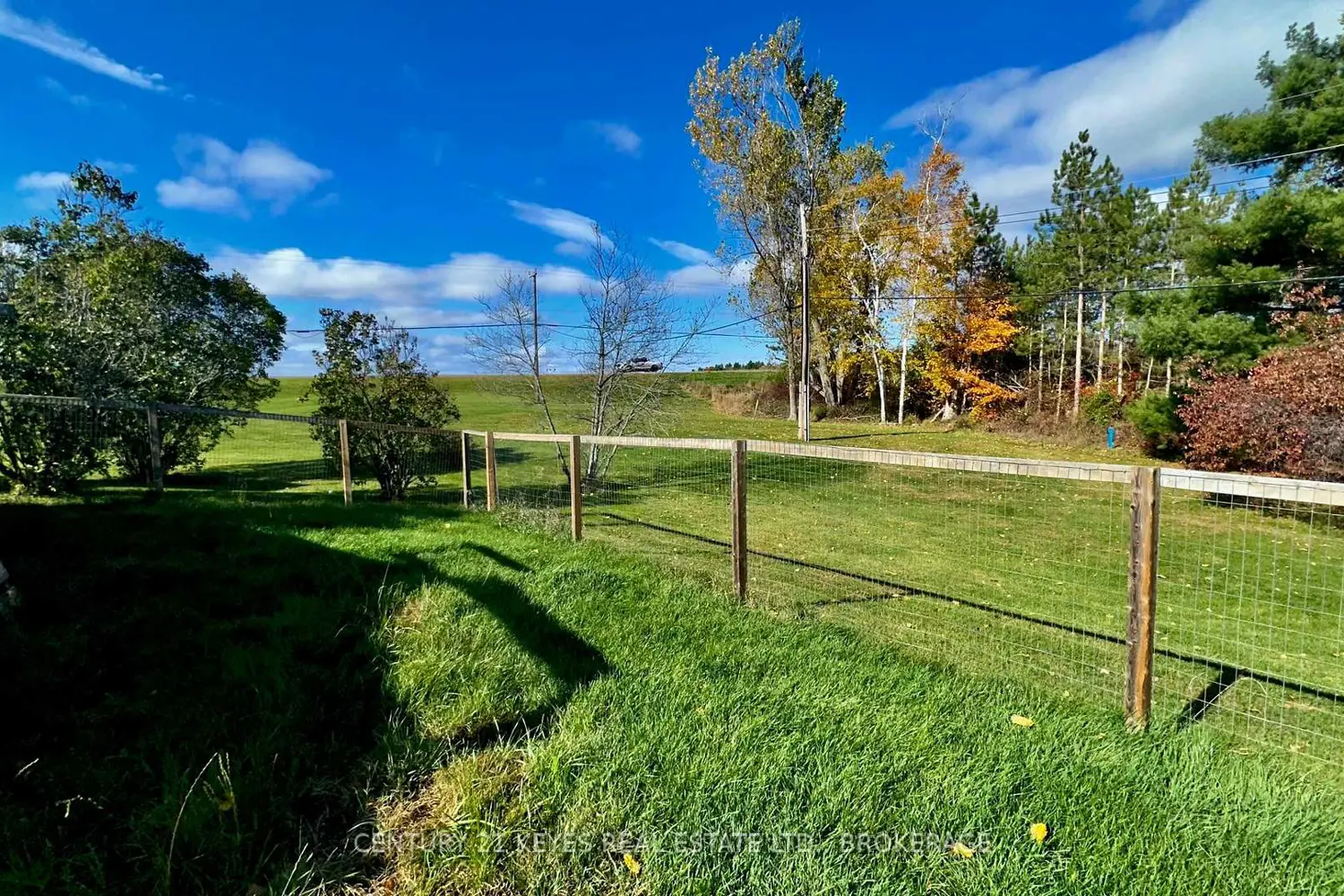 Additional image 6 of 104 Ellisville Road 16