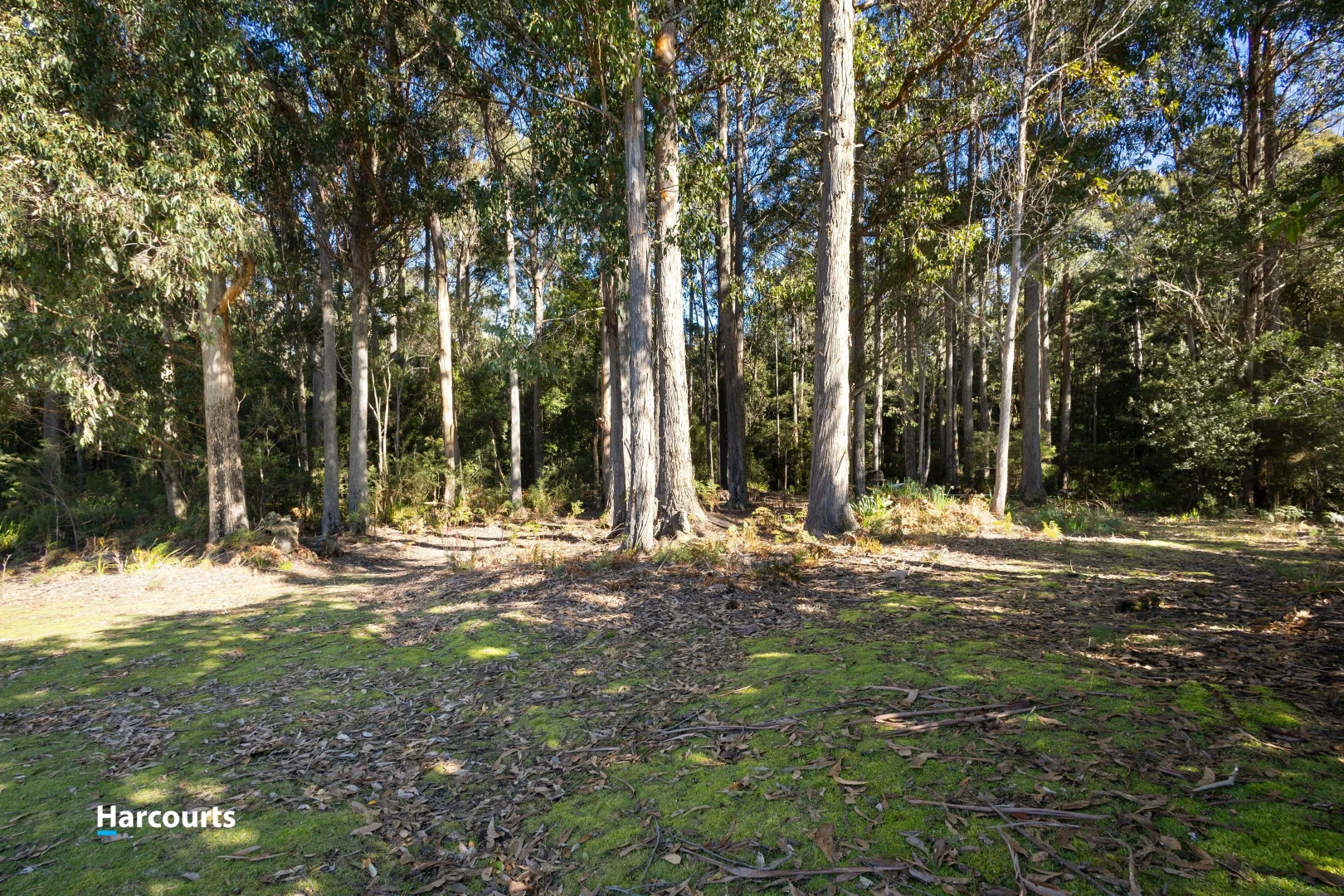 Additional image 17 of 170 Cockle Creek Road, Recherche TAS 7109