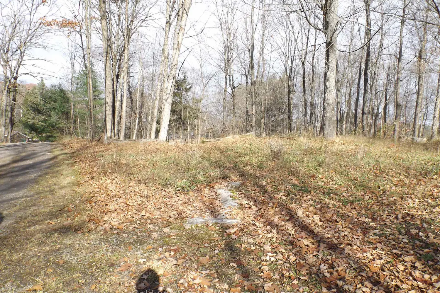 Additional image 9 of 1019 Carl's Road 3