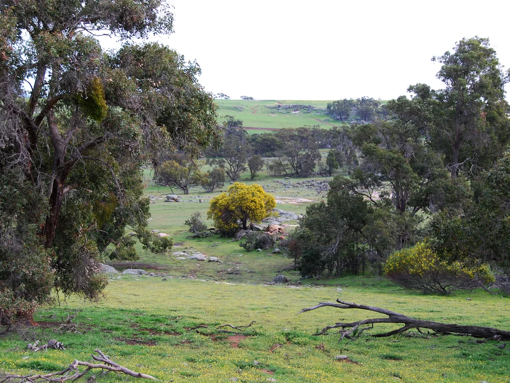 Additional image 34 of Lot 12 Young Road, Gwambygine WA 6302