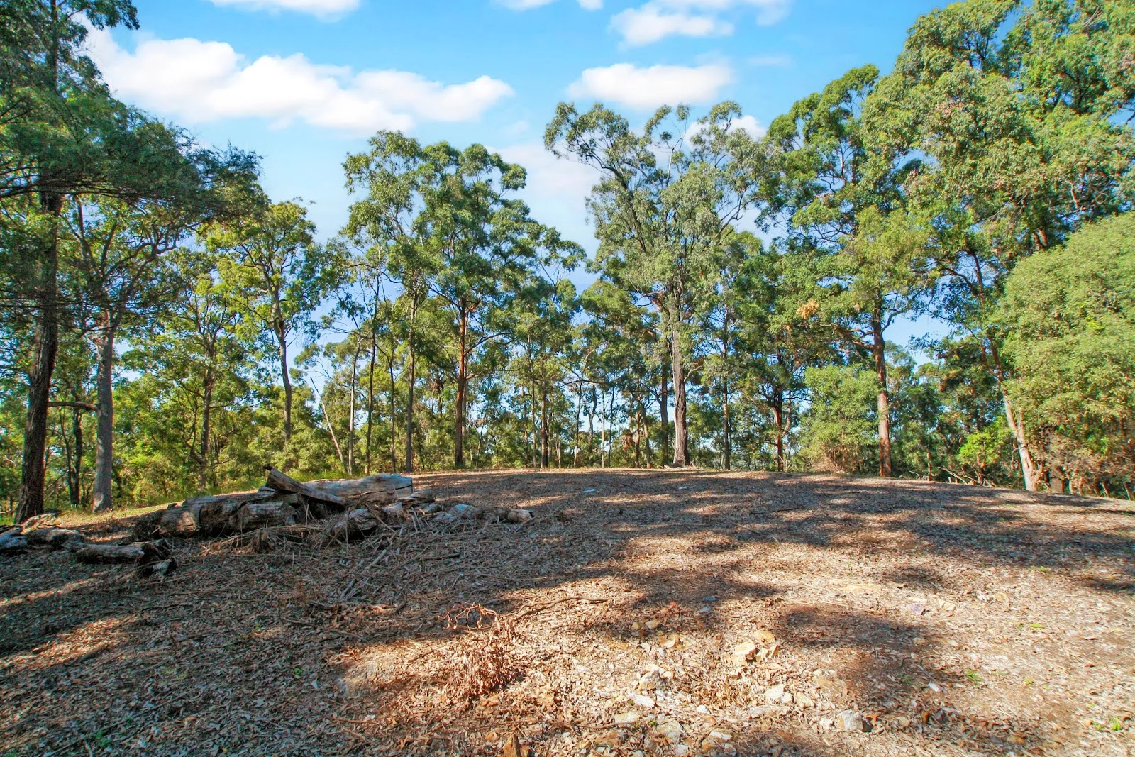 Additional image 9 of 94 Holyrood Road, Maudsland QLD 4210