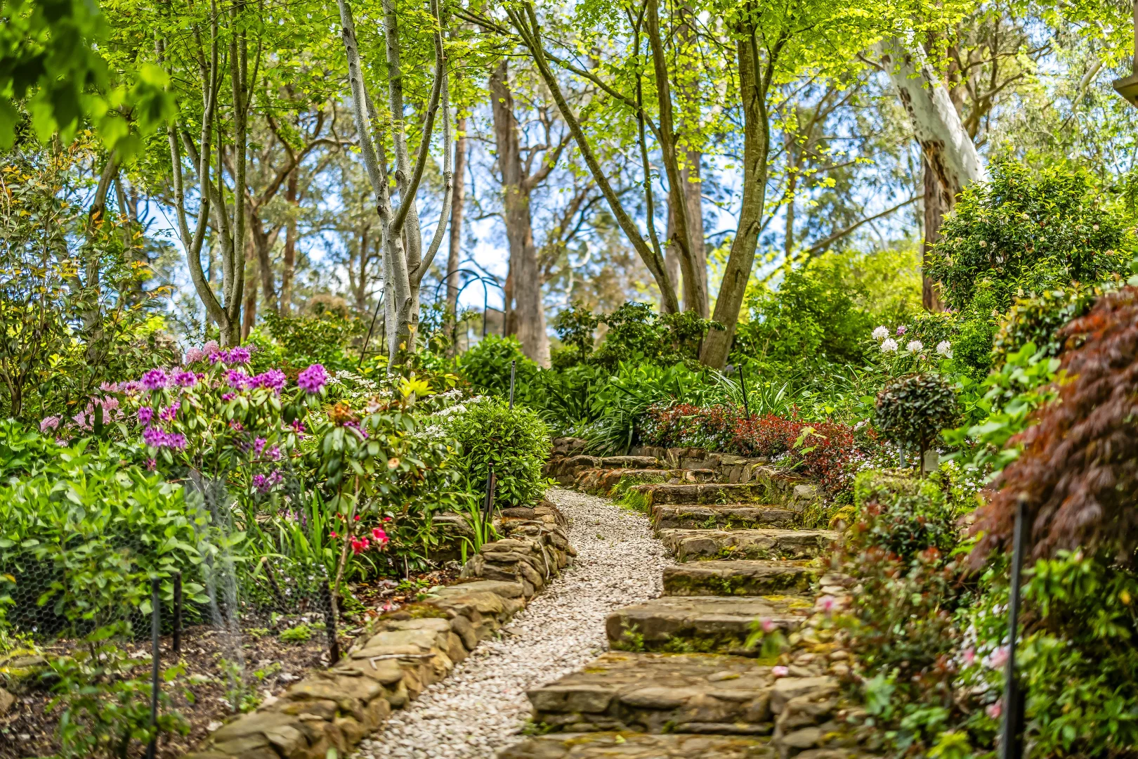 Additional image 47 of 16 Birch Road, Stirling SA 5152