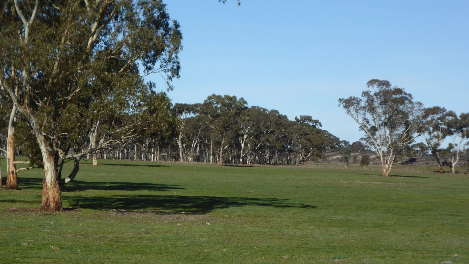 Additional image 10 of 2147 Bangham Road, Frances SA 5262