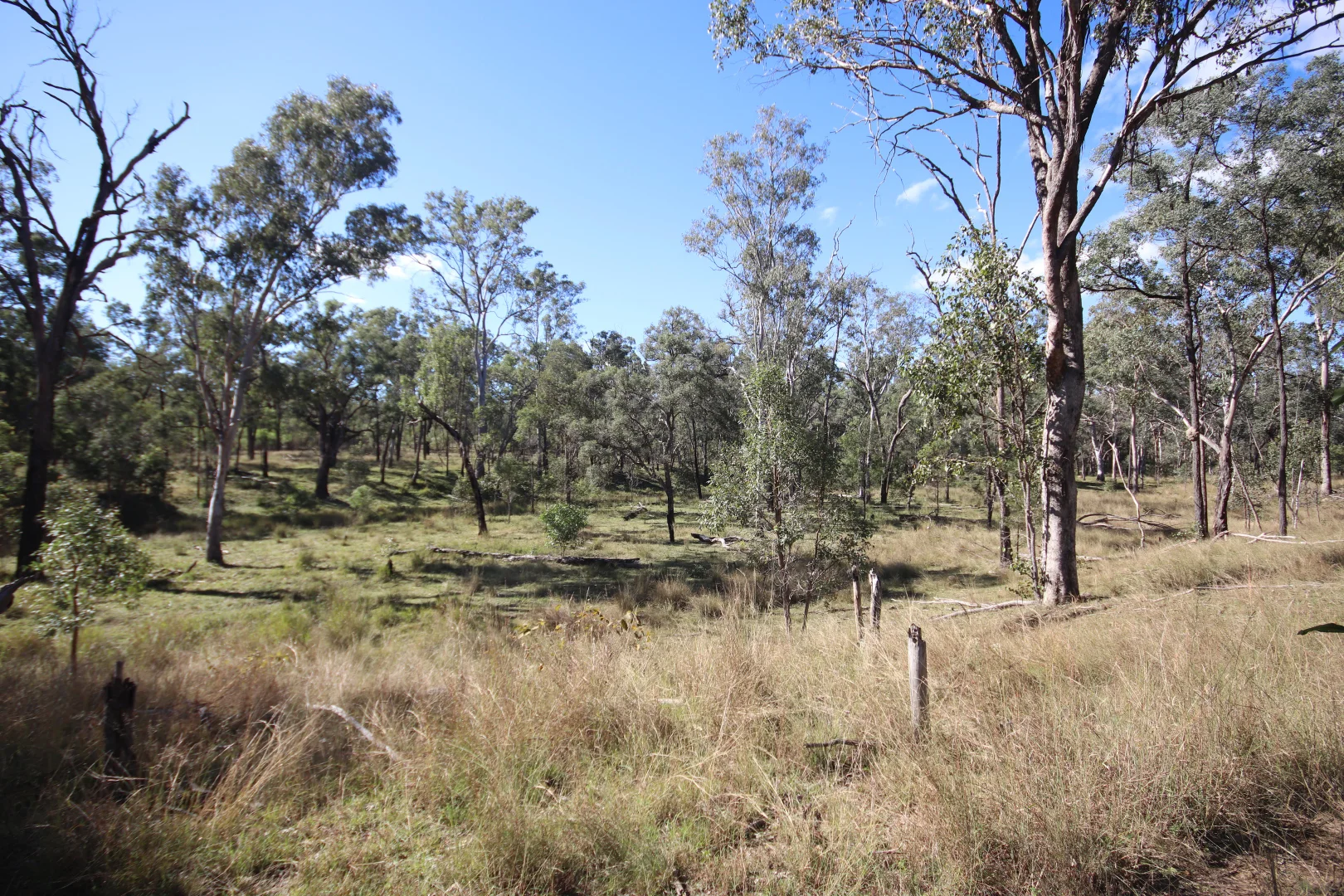 Additional image 11 of Lots 3, 11 & N Monogorilby Road, Monogorilby QLD 4626