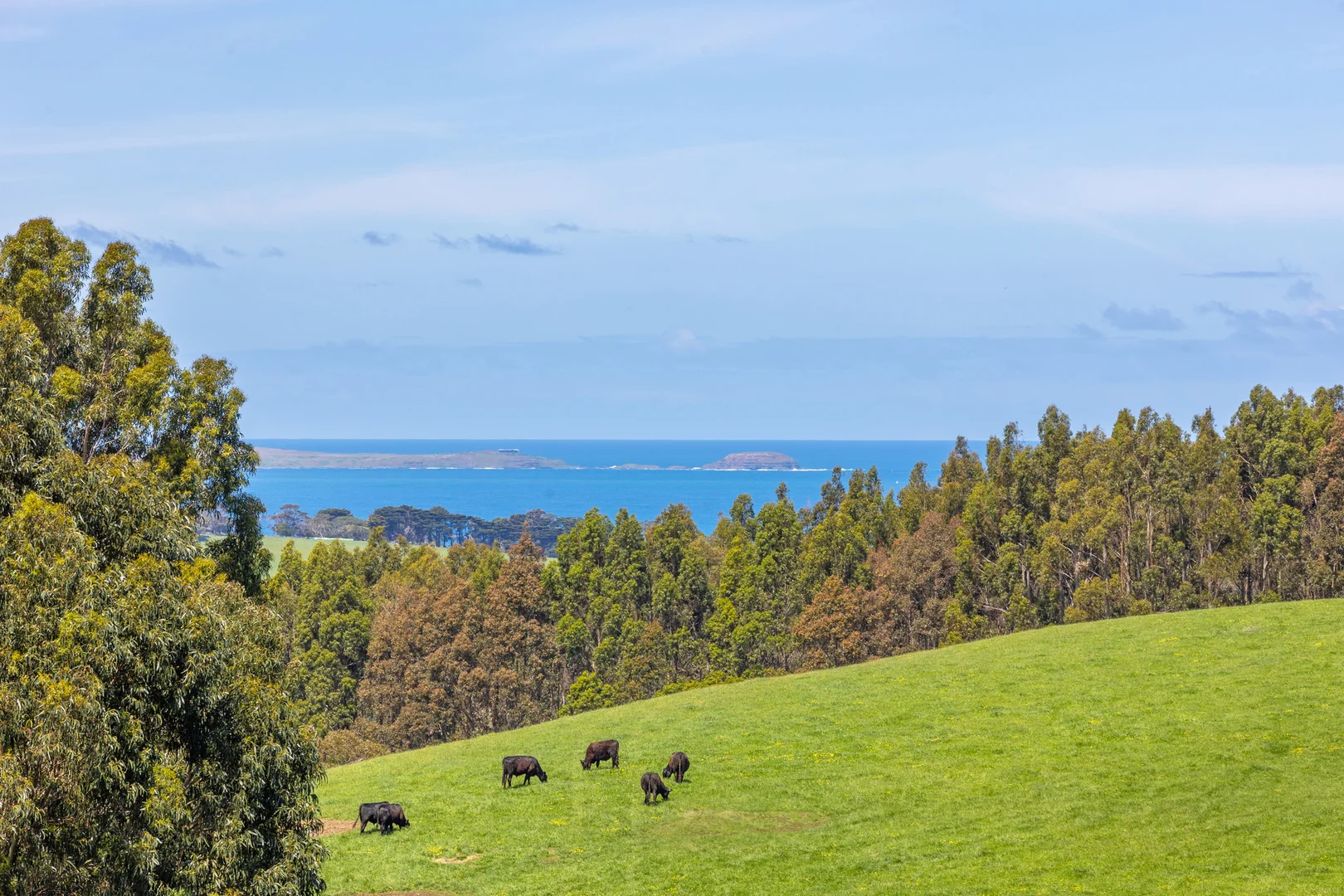 Additional image 12 of 201 Old Cottontree Road, Flinders VIC 3929