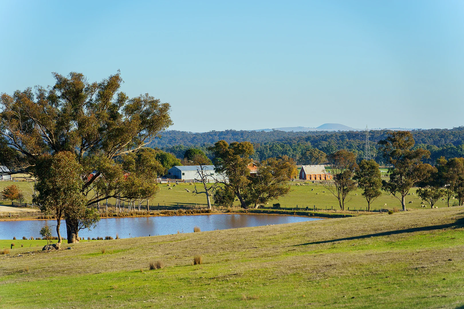 Additional image 15 of 275 Castlemaine-Maldon Road, Muckleford VIC 3451