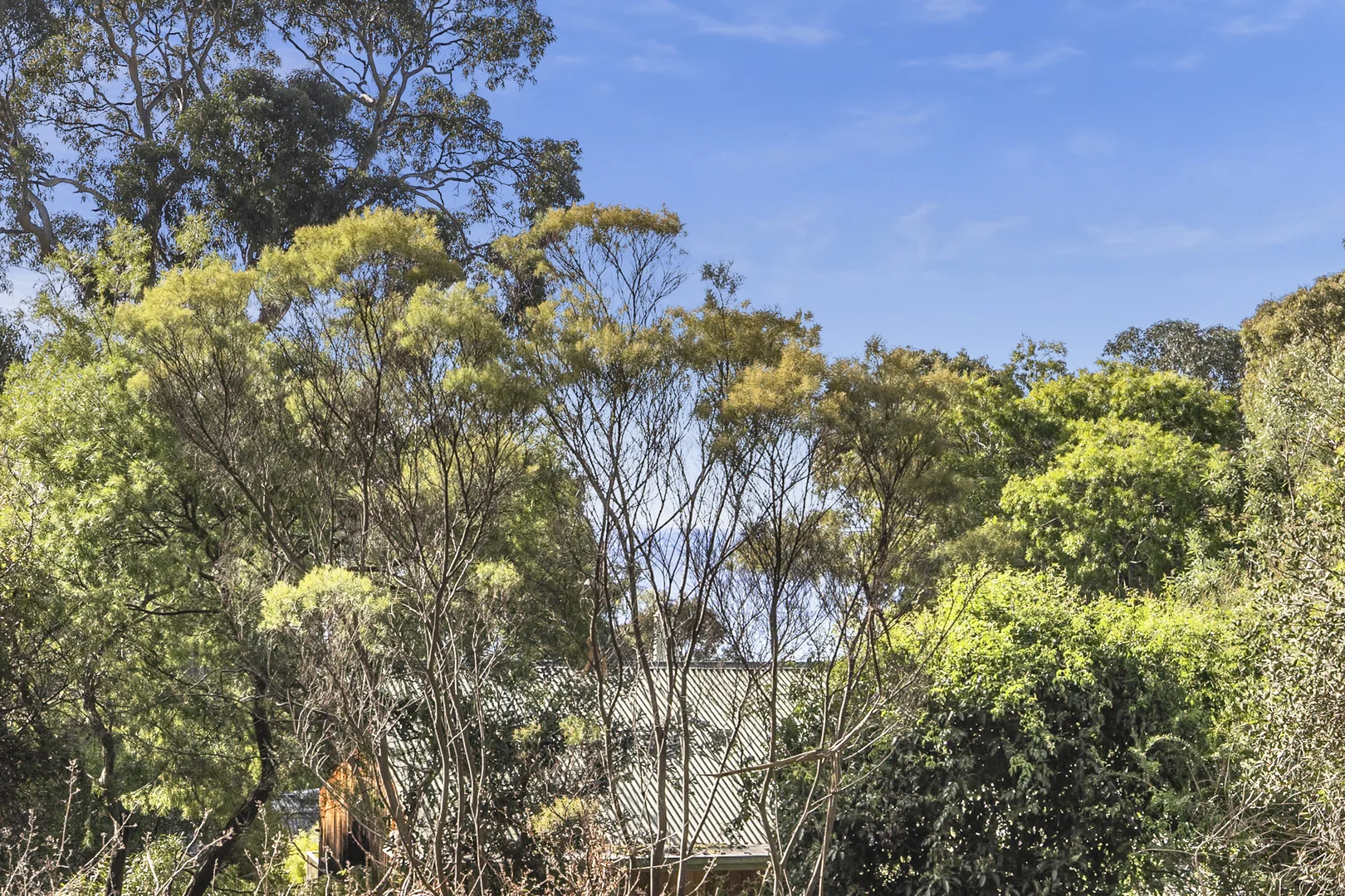 Additional image 11 of 10 Albert Street, Lorne VIC 3232