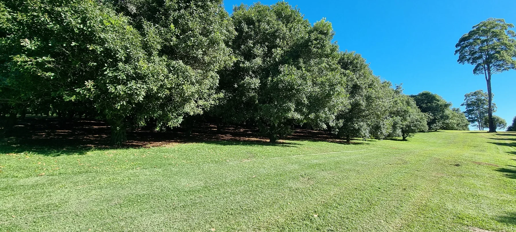 Additional image 8 of 161 Fletcher Road, Dunoon NSW 2480