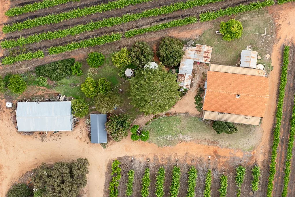 Additional image 12 of 17574 Sturt Highway, Barmera SA 5345