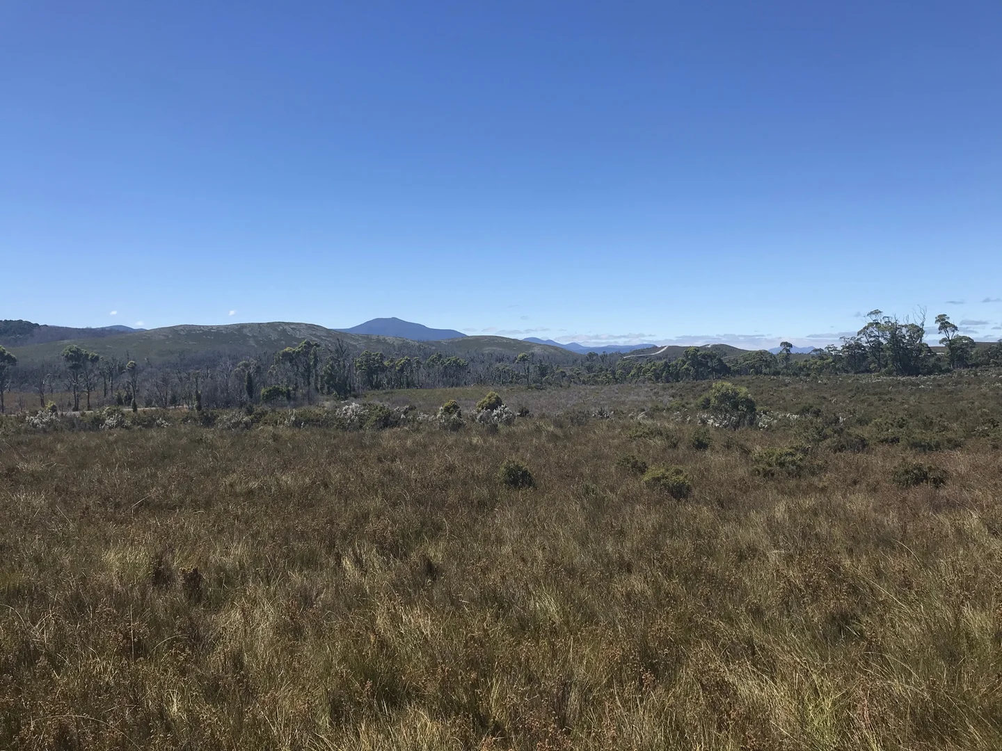 Additional image 3 of 499 Heemskirk Road, Zeehan TAS 7469