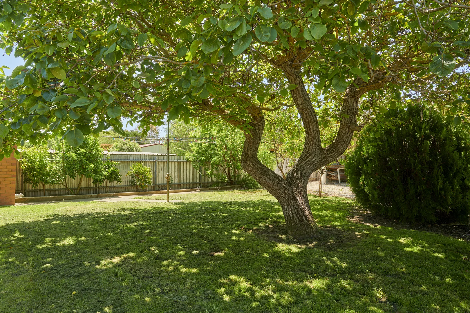 Additional image 15 of 196 High Street, Heathcote VIC 3523