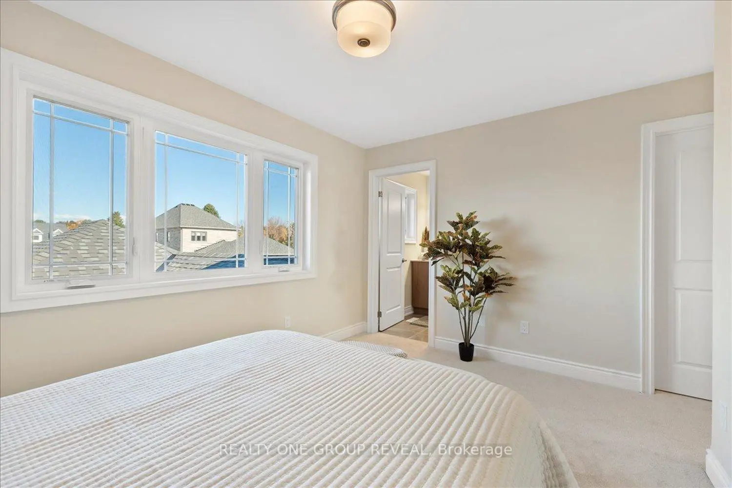 Additional image 14 of 12 Harrigan Street