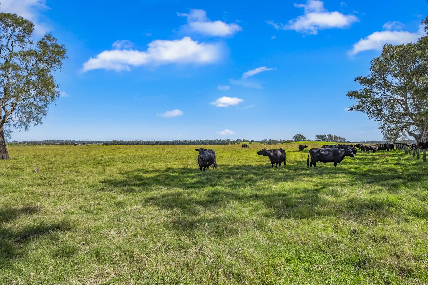 Additional image 6 of Brandon View |1102 Seaham Road, Seaham NSW 2324