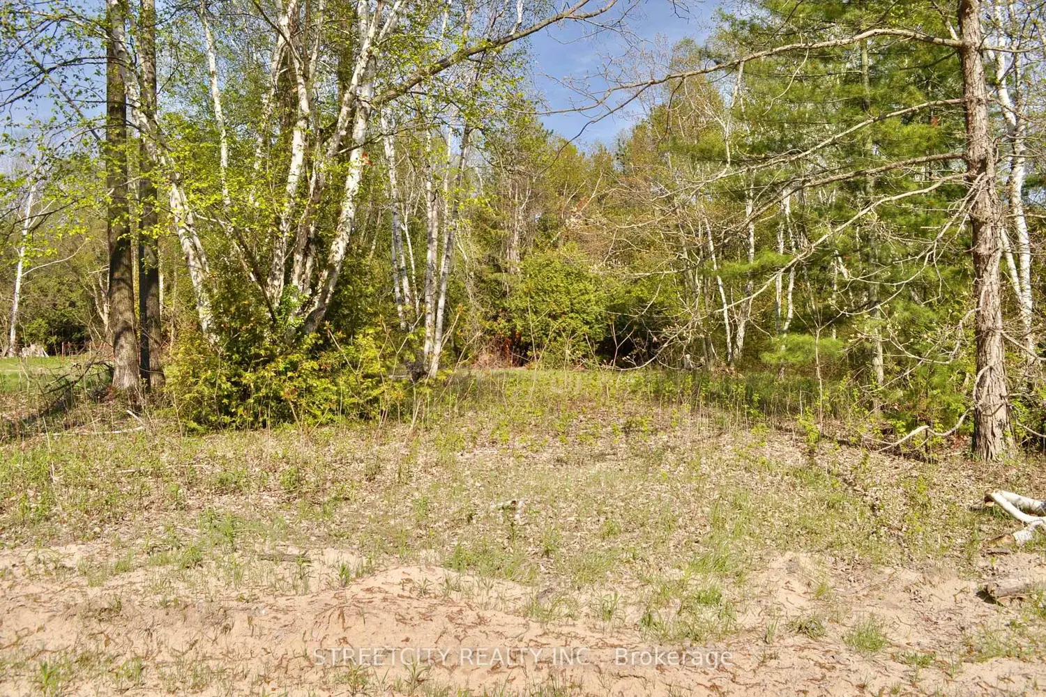 Additional image 6 of Part 4 W. Ipperwash Road