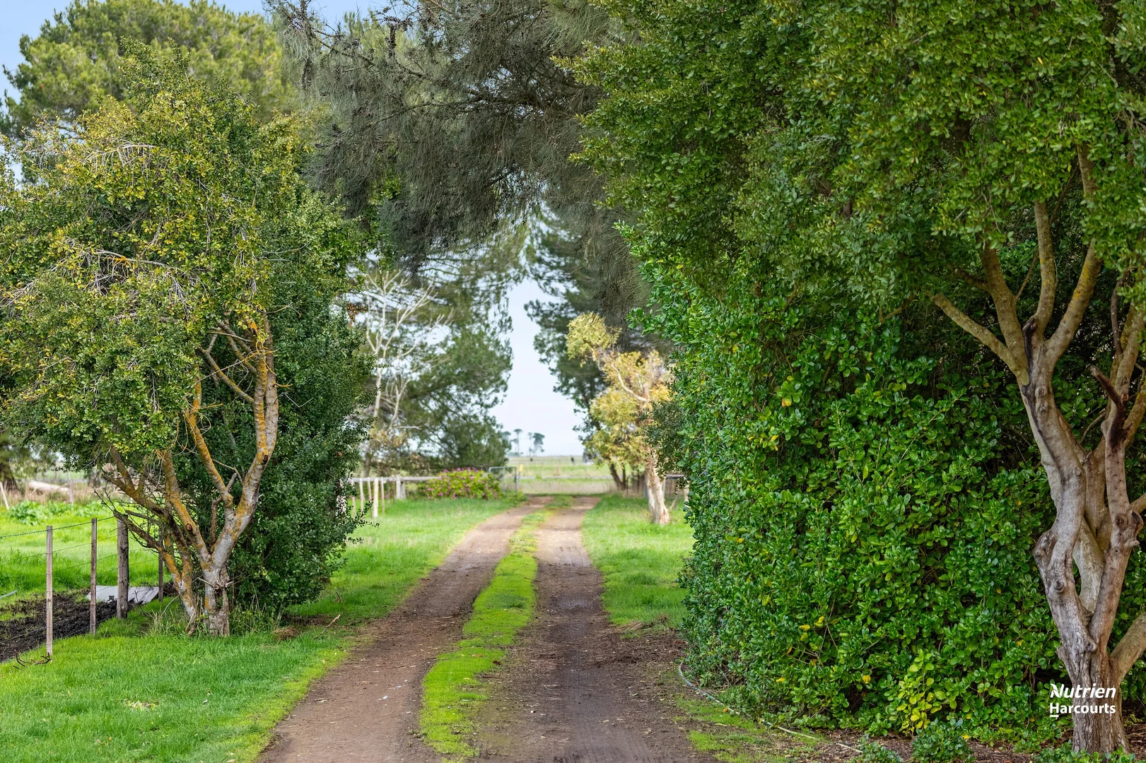 Additional image 6 of 29255 Princes Highway, Millicent SA 5280