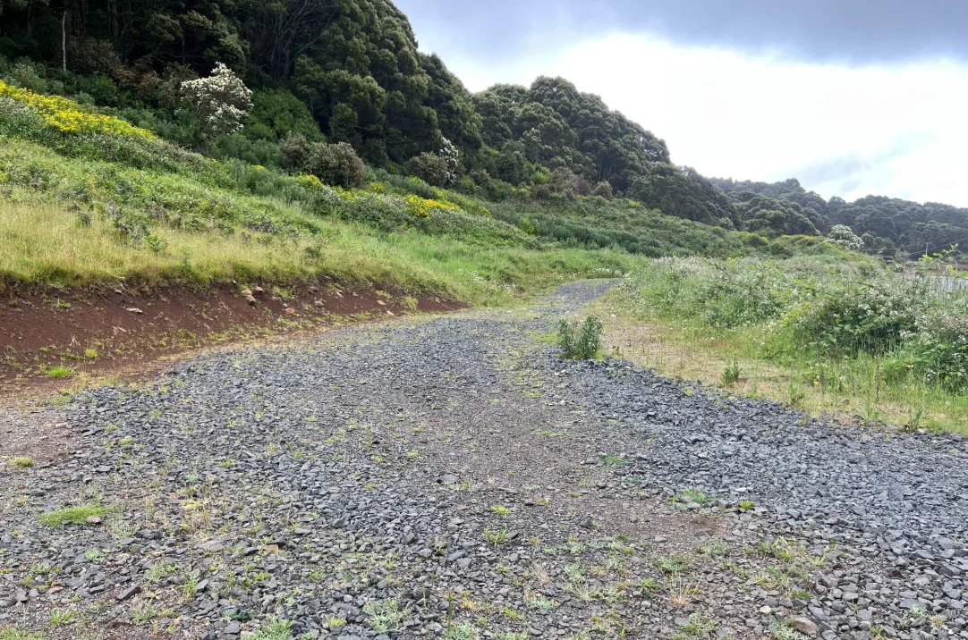 Additional image 18 of 29731 Tasman Highway, Weldborough TAS 7264