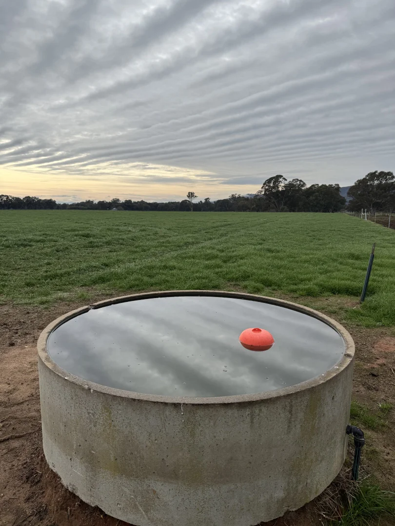 Additional image 36 of 301 Boggy Creek Road, Moyhu VIC 3732