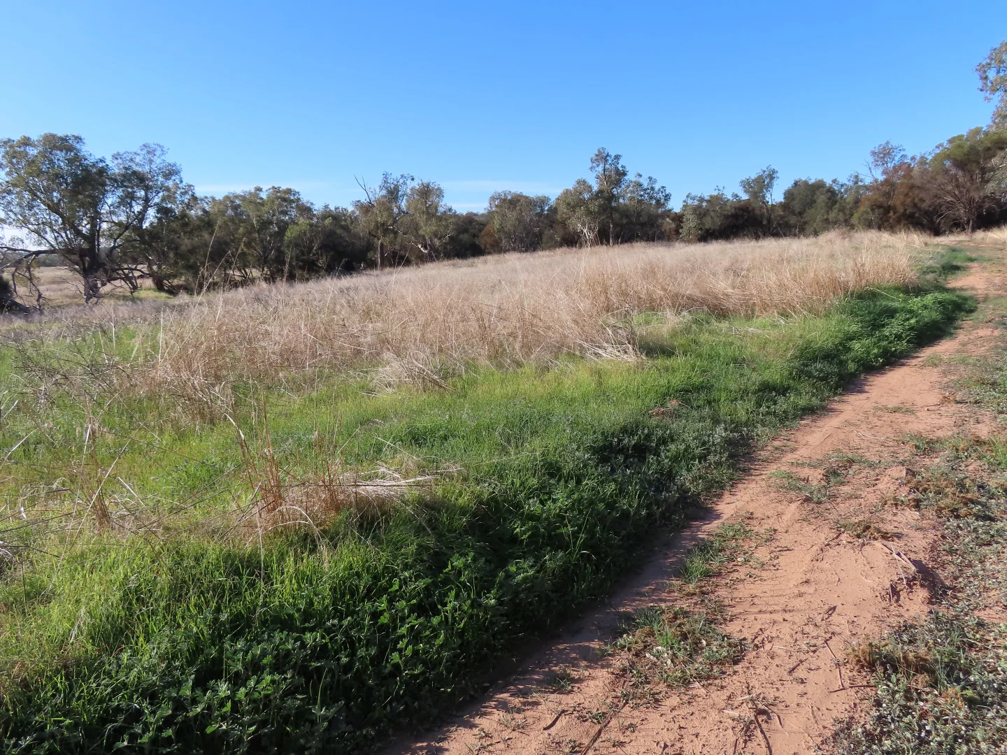 Additional image 4 of Lot 10 Barndon Street, Spencers Brook WA 6401