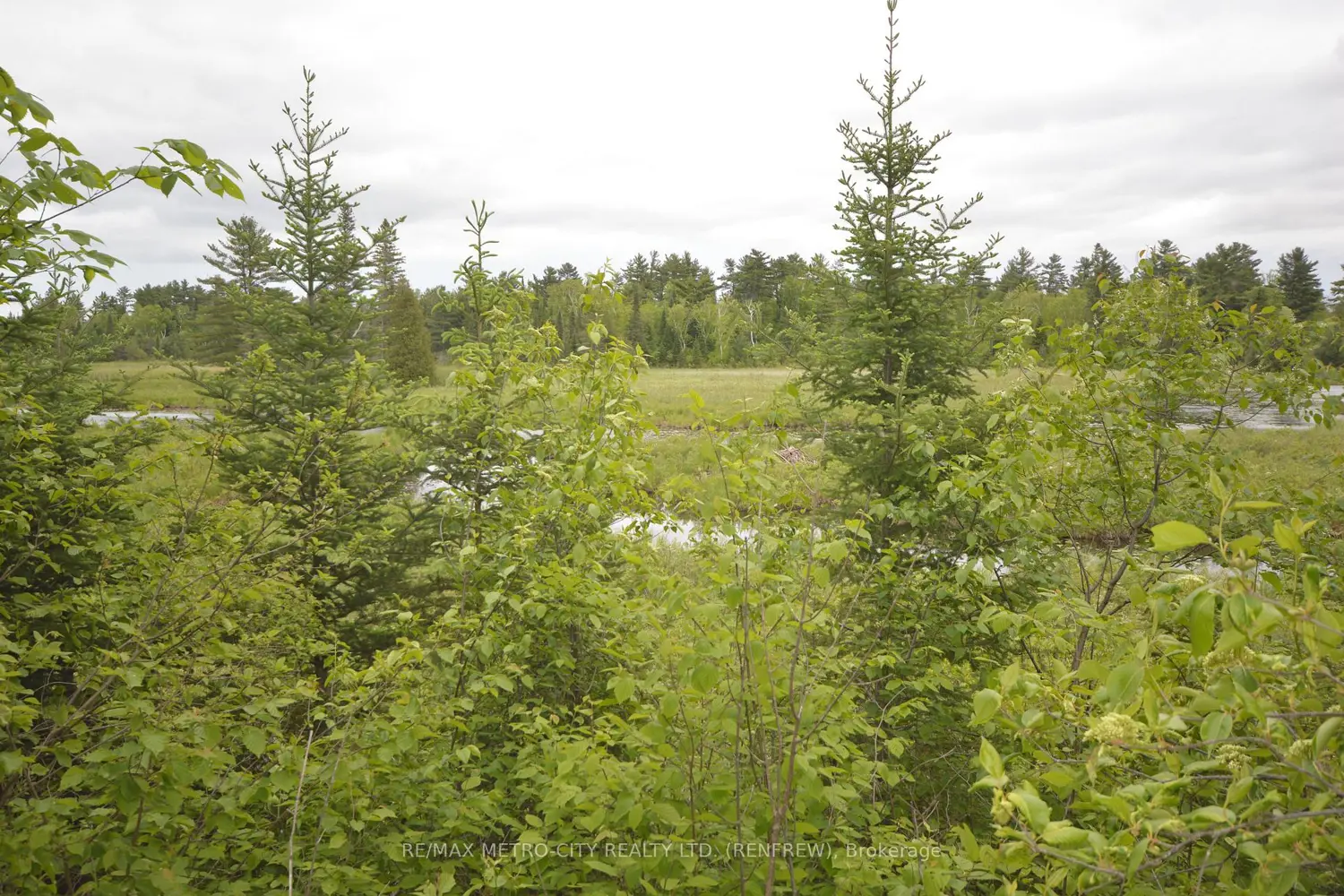 Additional image 16 of 6340 Murphy Road