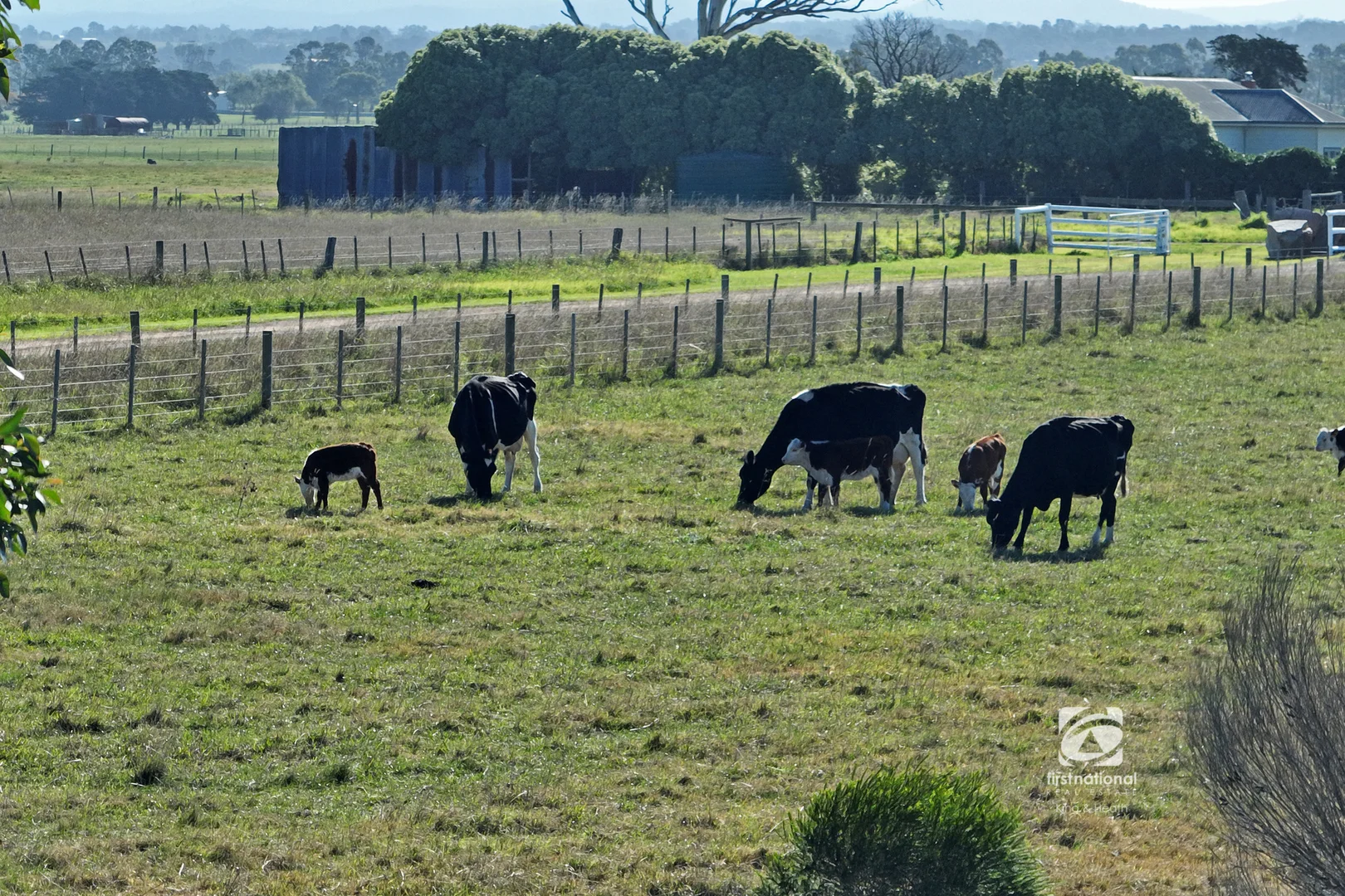 Additional image 8 of 159 Bayview Road, Broadlands VIC 3875