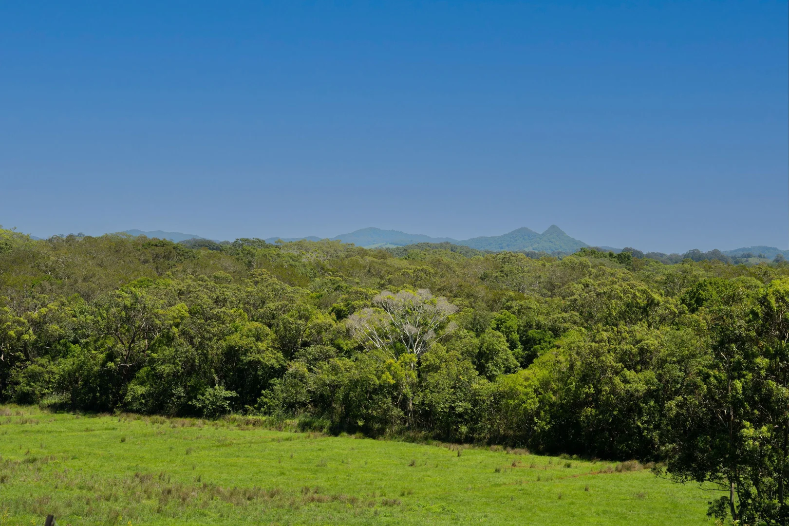 Additional image 23 of Ewingsdale NSW 2481