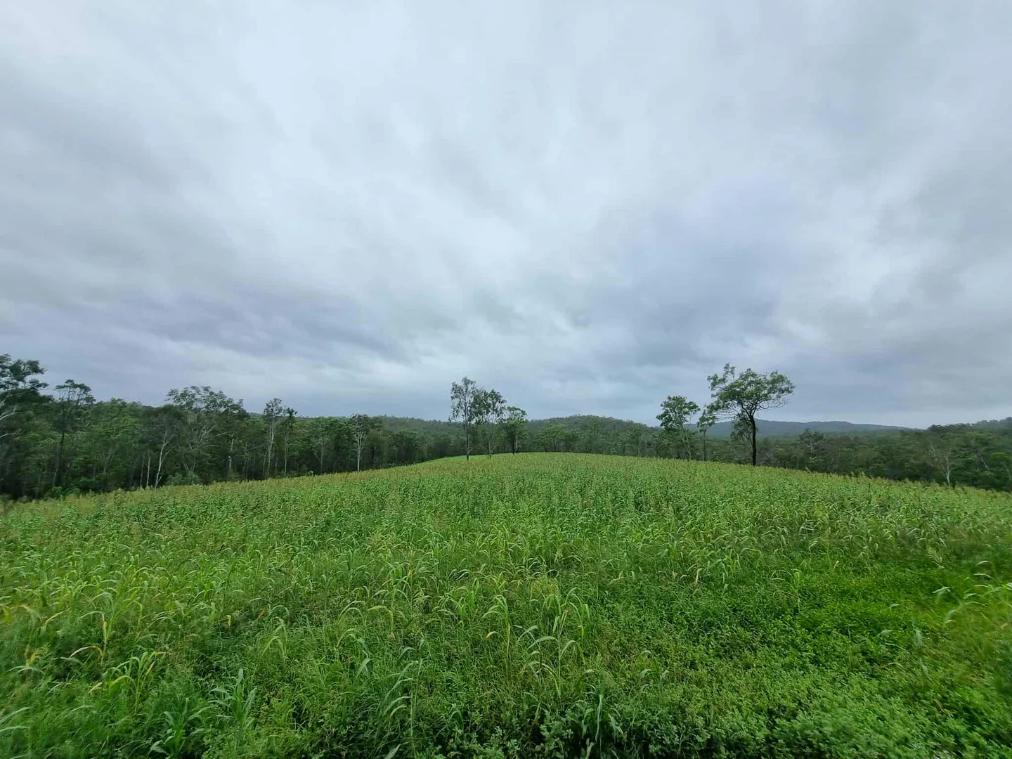 Additional image 2 of 700 John Clifford Way, Lowmead QLD 4676