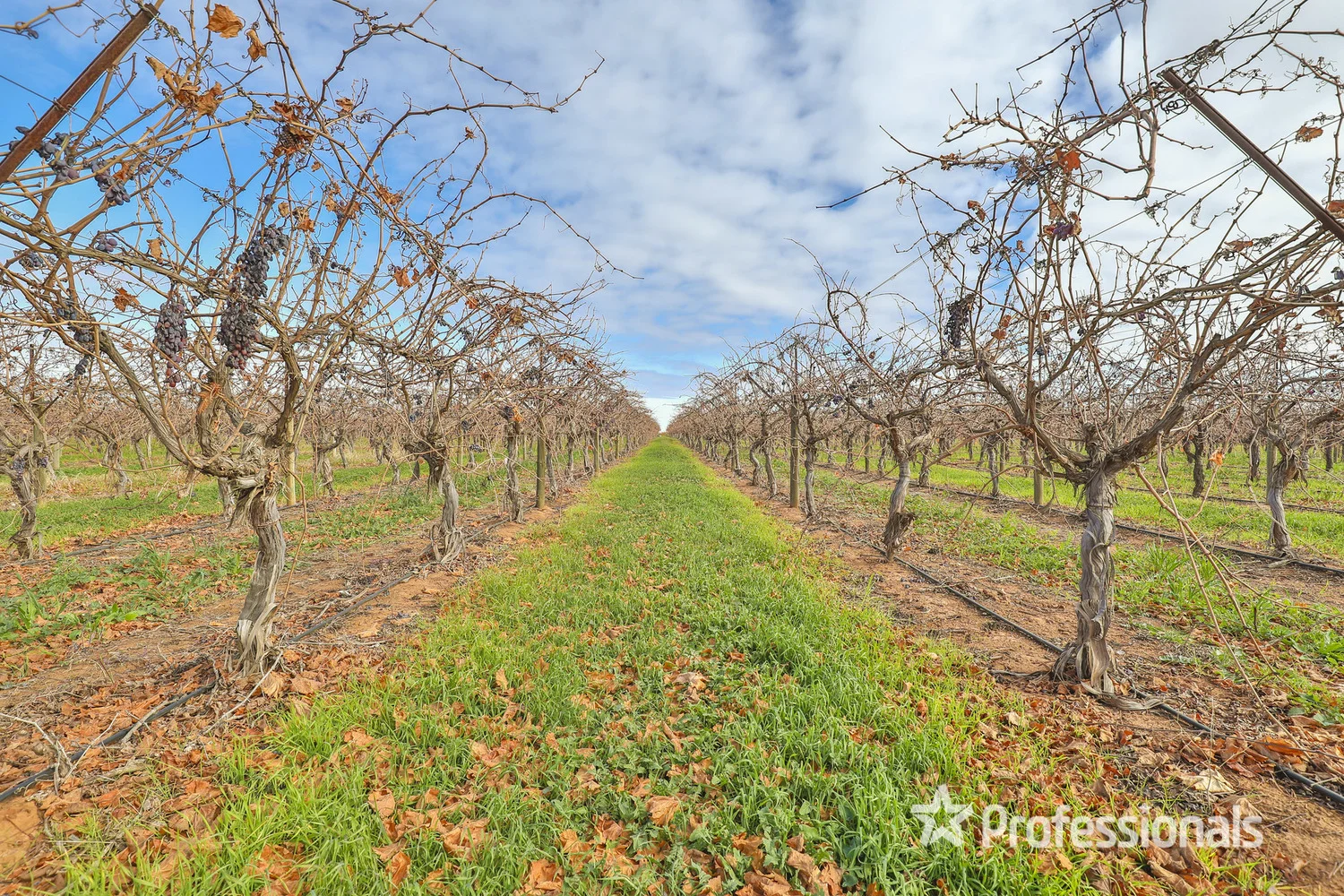 Additional image 6 of 248 Sunnycliffs Crescent, Sunnycliffs VIC 3496