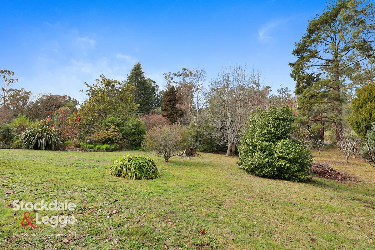 Additional image 23 of 10 Galvins Road, Mirboo North VIC 3871